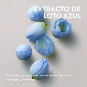 EXTRACTO DE LOTO AZUL